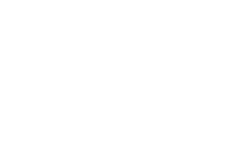 Sandoval Pro Painting